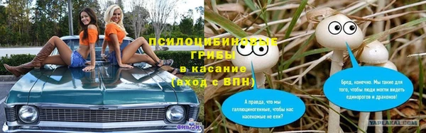 2c-b Снежногорск