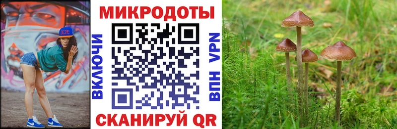 Псилоцибиновые грибы мицелий  Дубовка 